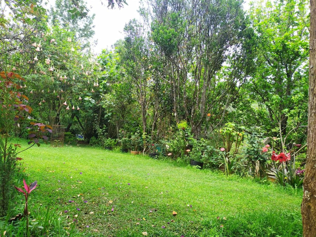 Pear Tree Entire 2Bhk Villa Kotagiri Kültér fotó