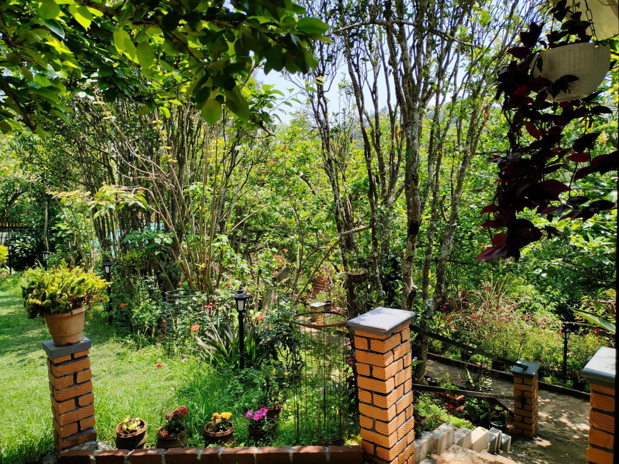 Pear Tree Entire 2Bhk Villa Kotagiri Kültér fotó